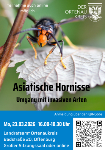 Informationsveranstaltung zur Asiatischen Hornisse