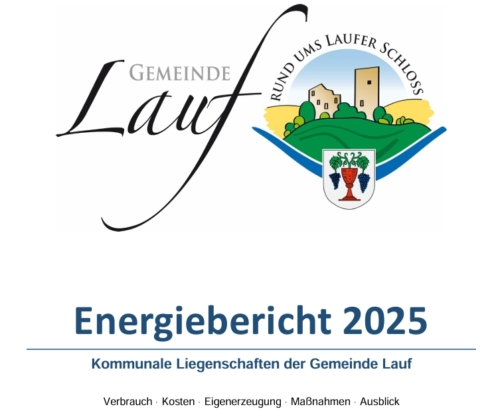 Energiebericht 2025