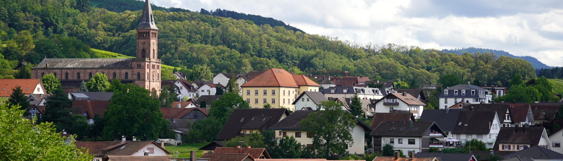 Blick von Niederhofen aus auf den Dorfkern bewölkt 2 Foto Walter Kohler Zuschnitt