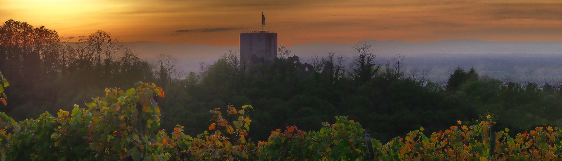 Burg_Header_1920x550Px