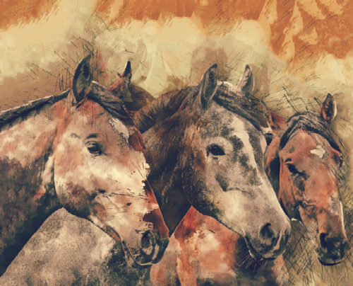 Unser Film zum Leonhardusritt 🎥