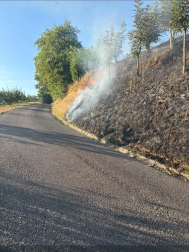 Wald- und Vegetationsbrandgefahr auch in Lauf hoch!