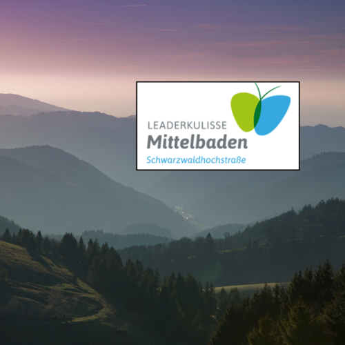 Projektaufruf für LEADER-Projekte 2026