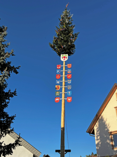 Traditionelles Maibaumstellen in Lauf