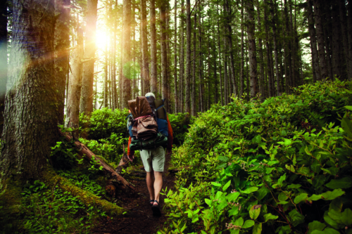 Einladung zur Eröffnung eines neuen Abschnitts des Laufbachpfads