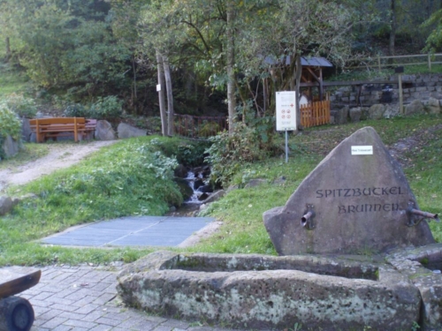 Foto: Spitzbuckel- Brunnen mit Bachlauf